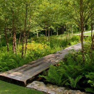 Photo of Lawn