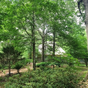 Photo of Hart Exterior Services