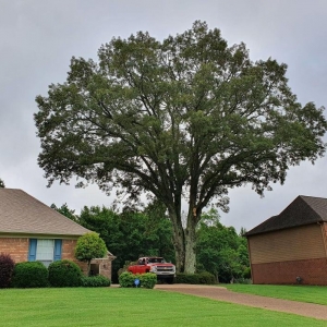 Photo of Hart Exterior Services