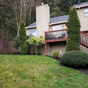 Beaverton M Pruning Landscaping