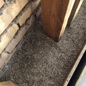Photo of Rocky Mountain Hemp Build