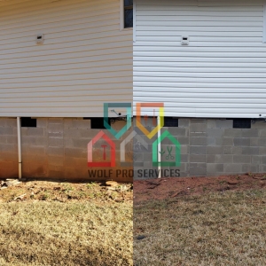 Photo of Wolf Pro Services