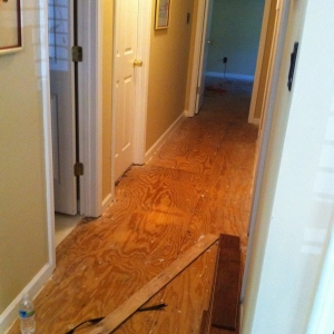 Photo of Palmetto Flooring