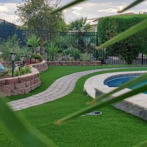 Photo of Arizona's Greenest Grass