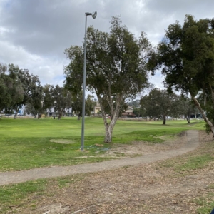 Photo of FootGolf San Diego