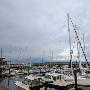 Photo of Edmonds Yacht Club