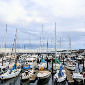Photo of Edmonds Yacht Club