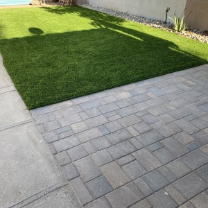 Photo of Tough Turtle Turf - Los Angeles