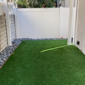 Photo of Tough Turtle Turf - Los Angeles