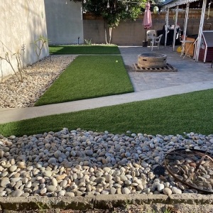 Photo of Tough Turtle Turf - Los Angeles