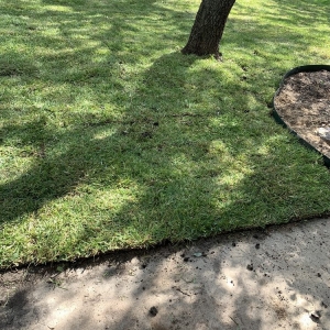 Photo of Southern Style Lawn & Landscaping