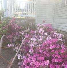 Photo of Creative Landscape Designs