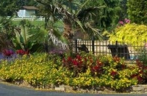 Photo of Creative Landscape Designs