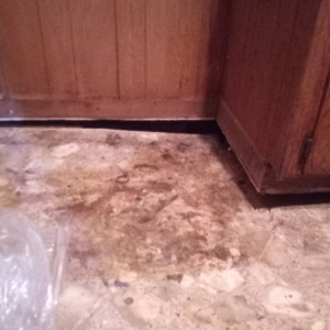 Photo of Fix It Fast Foundation Repair