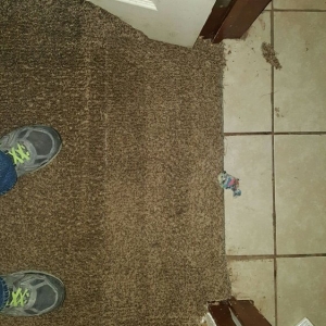 Photo of Extreme Total Cleaning Services