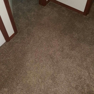 Photo of Extreme Total Cleaning Services