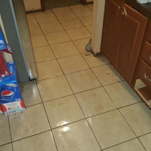 Photo of Extreme Total Cleaning Services