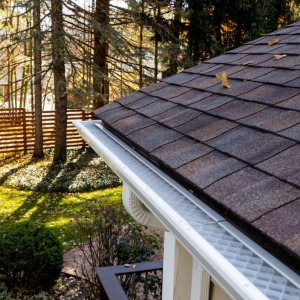 Photo of LeafFilter Gutter Protection