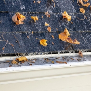 Photo of LeafFilter Gutter Protection