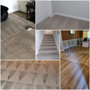 Photo of Clear Vision Carpet & Floor Care