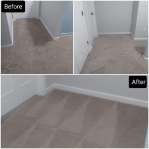 Photo of Clear Vision Carpet & Floor Care