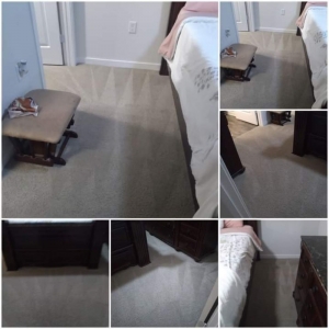 Photo of Clear Vision Carpet & Floor Care