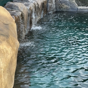 Photo of Deleon Pool Service