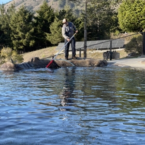 Photo of Deleon Pool Service