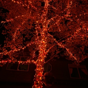 Photo of West Coastin' Window Cleaning and Xmas Guys Holiday Lights