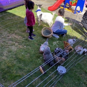 Photo of Once Upon a Pony & Petting Zoo
