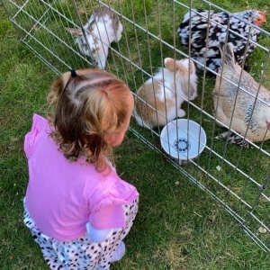 Photo of Once Upon a Pony & Petting Zoo
