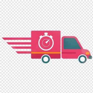 Miami Turbo Courier