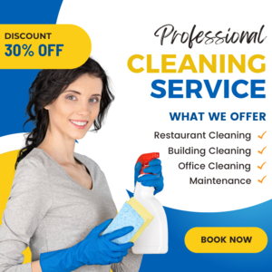 Photo of Alegre Cleaning