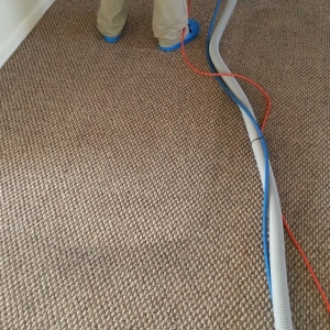 Photo of EKO Carpet & Rug Cleaning Metairie