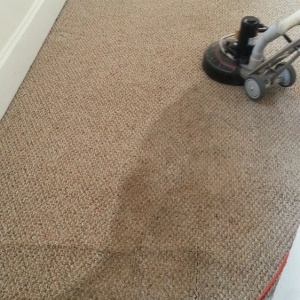 Photo of EKO Carpet & Rug Cleaning Metairie