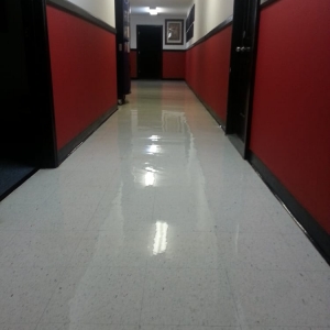 Photo of EKO Carpet & Rug Cleaning Metairie