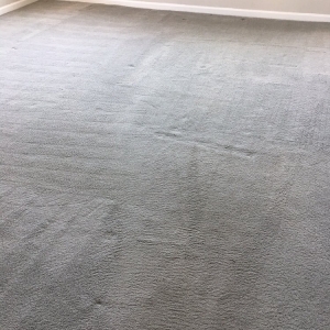 Photo of Carpet Cleaning Experts