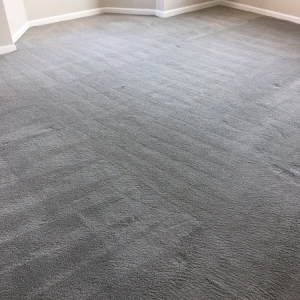 Photo of Carpet Cleaning Experts
