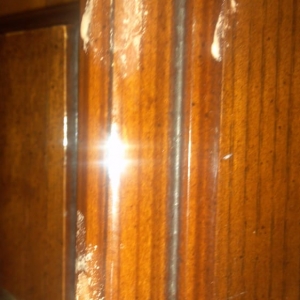 Photo of Gorilla Rose