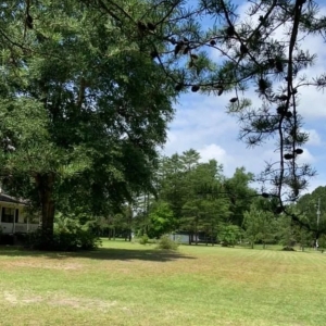 Photo of Causey's Lawn Care & Irrigation
