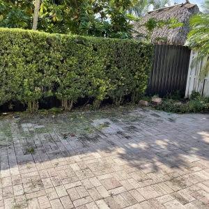 Photo of Elite LawnCare Service
