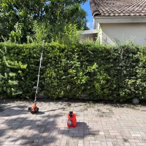 Photo of Elite LawnCare Service