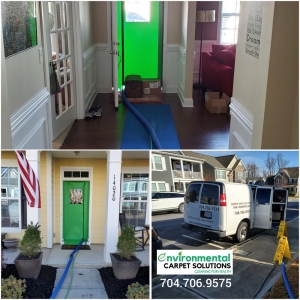 Photo of Environmental Carpet Solutions