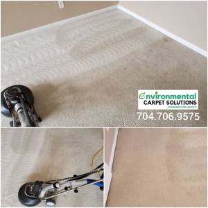 Photo of Environmental Carpet Solutions
