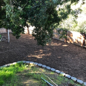 Photo of De La Rosa Landscaping