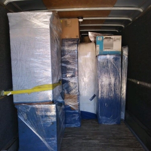 Photo of Iron-Back Movers