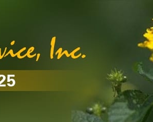 Photo of Clark Lawn Service