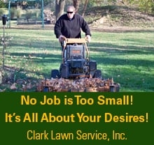 Photo of Clark Lawn Service