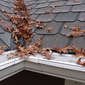 Photo of Springrock Gutters