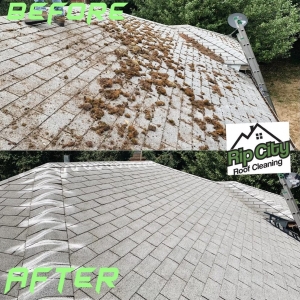 Photo of Rip City Roof Cleaning